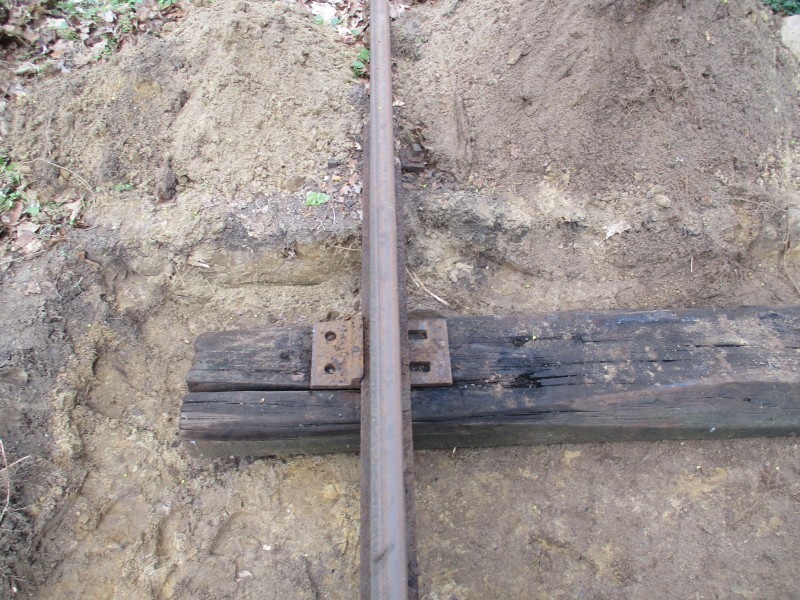 ZWNEGI11
